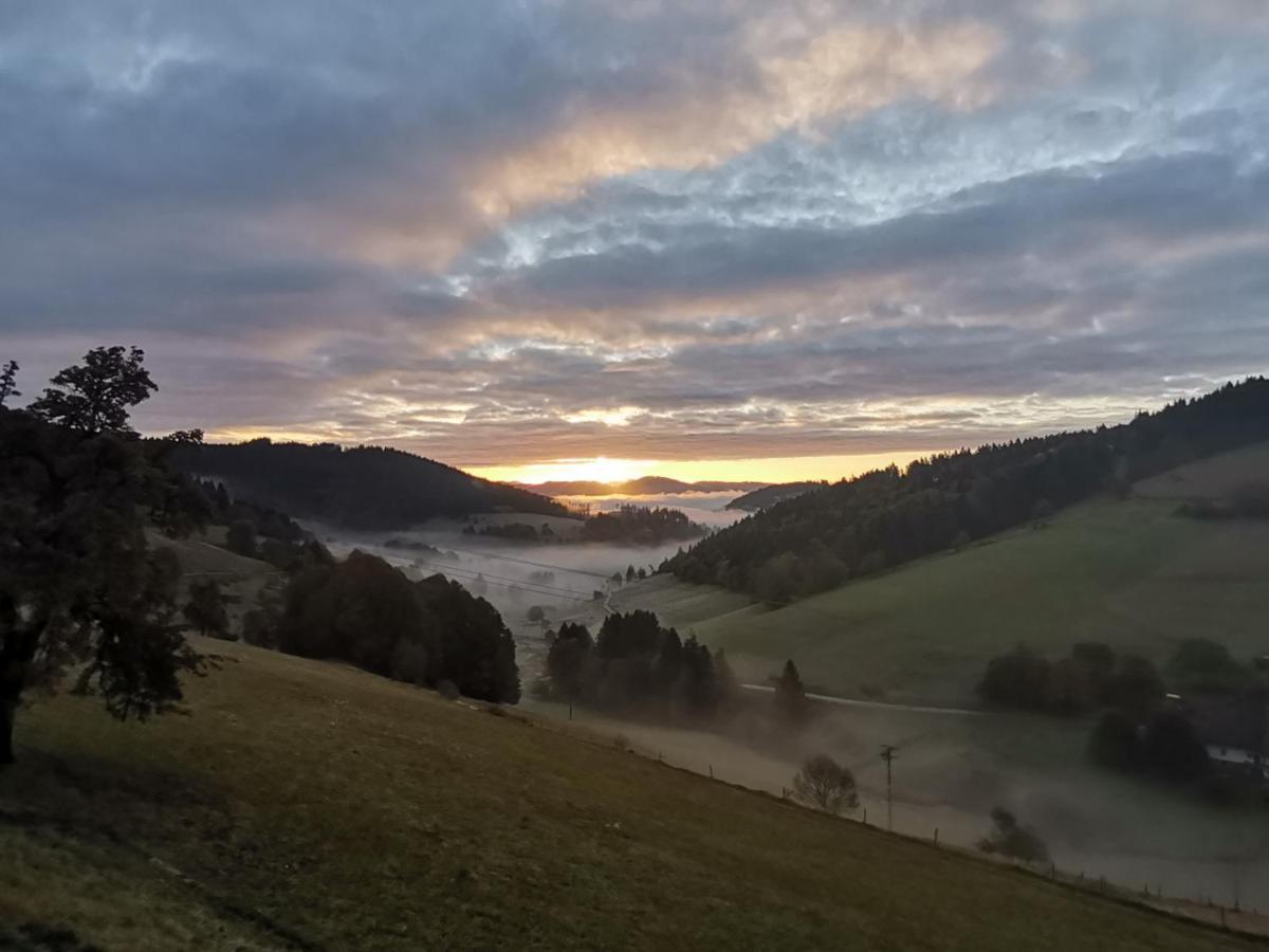 Berggasthof Haldenhof Hotel Vorderheubronn Kültér fotó